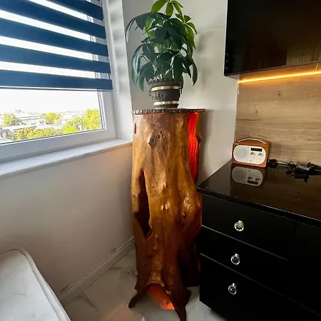 Violet * Nyíregyháza