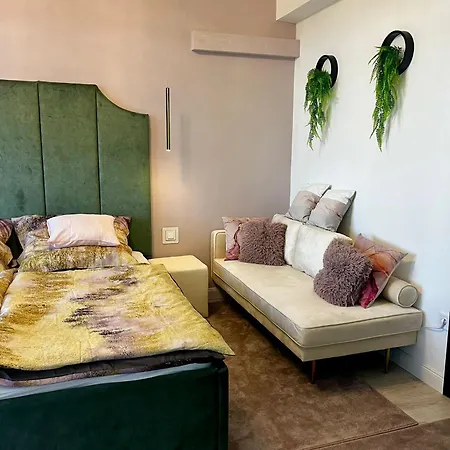 Violet * Nyiregyhaza