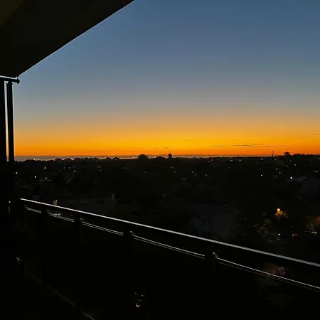 Violet Nyíregyháza