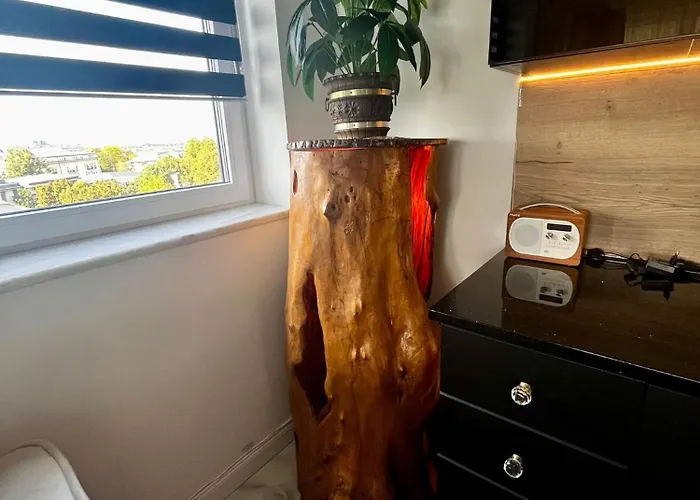 Violet * Nyíregyháza