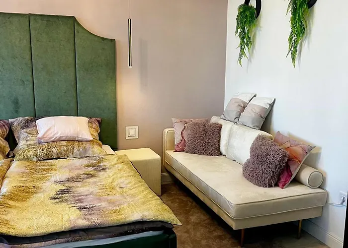 Violet * Nyíregyháza