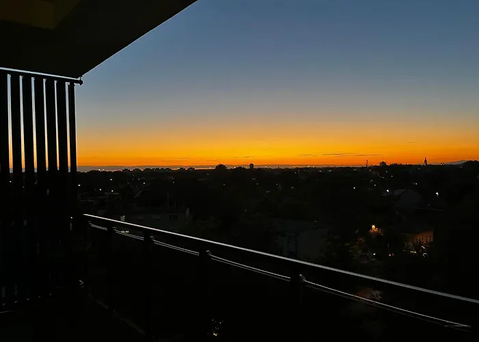 Violet Nyíregyháza