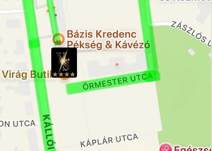 Violet Nyíregyháza